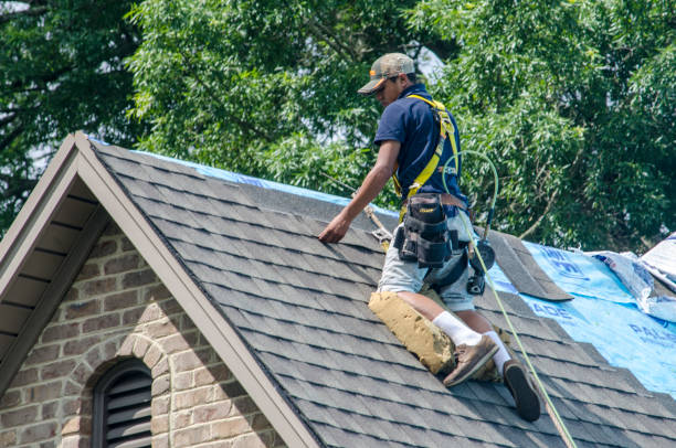 Best Roof Waterproofing Services  in South Vacherie, LA